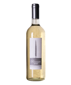 Rinascita IGT Bianco - Riseccoli